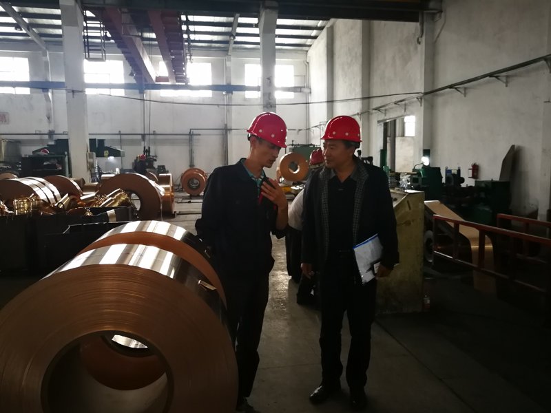 中铝上海铜业:困境与重生的案例研究