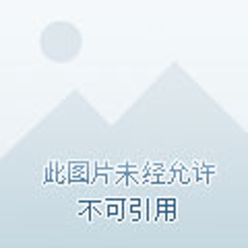 中铝上海铜业：优势与挑战并存